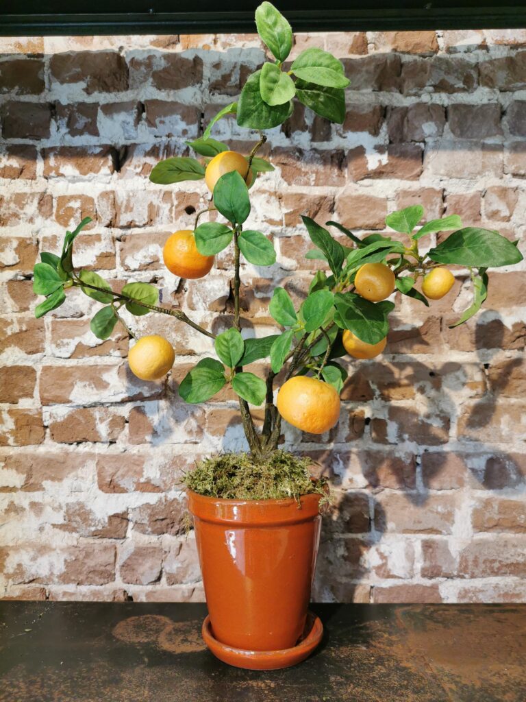 De Bloementuin Meppel
