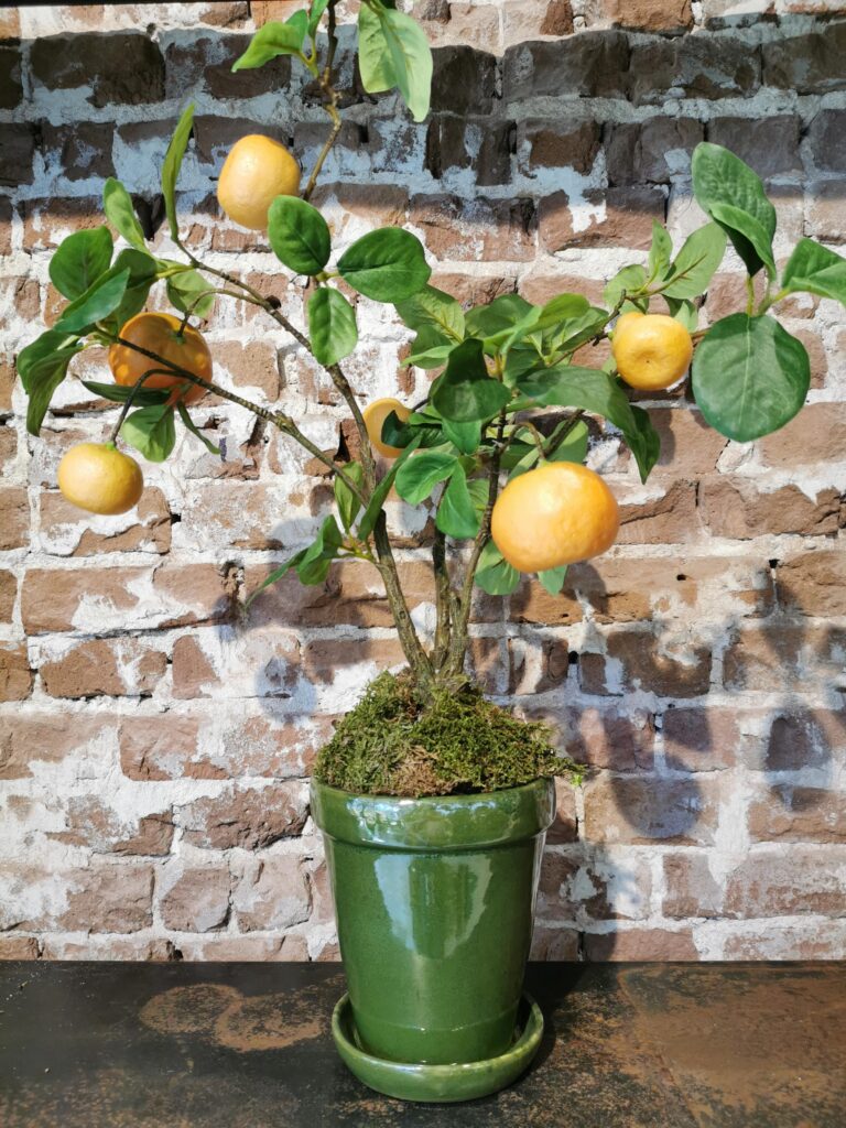 De Bloementuin Meppel