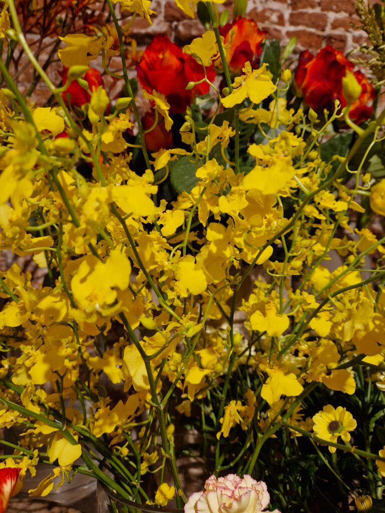 De Bloementuin Meppel