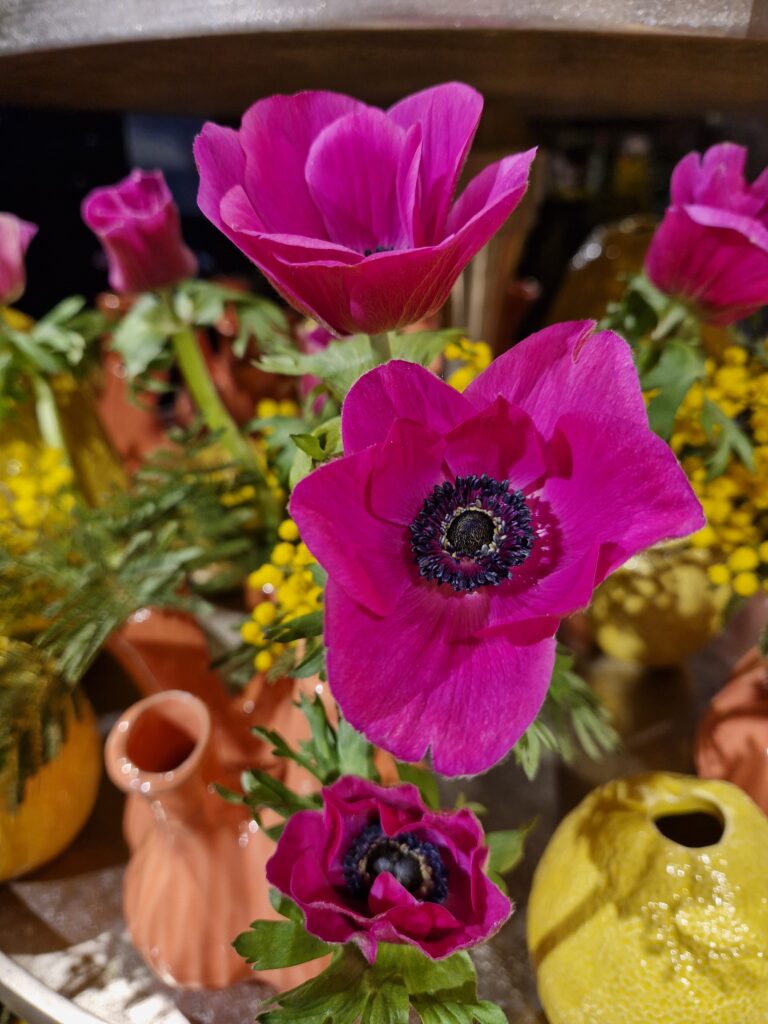 De Bloementuin Meppel