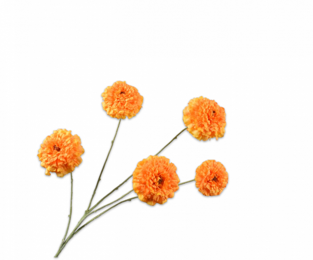 De Bloementuin Meppel