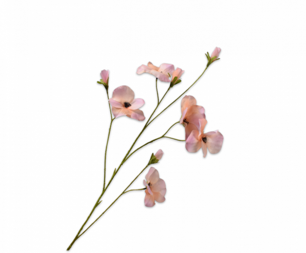De Bloementuin Meppel