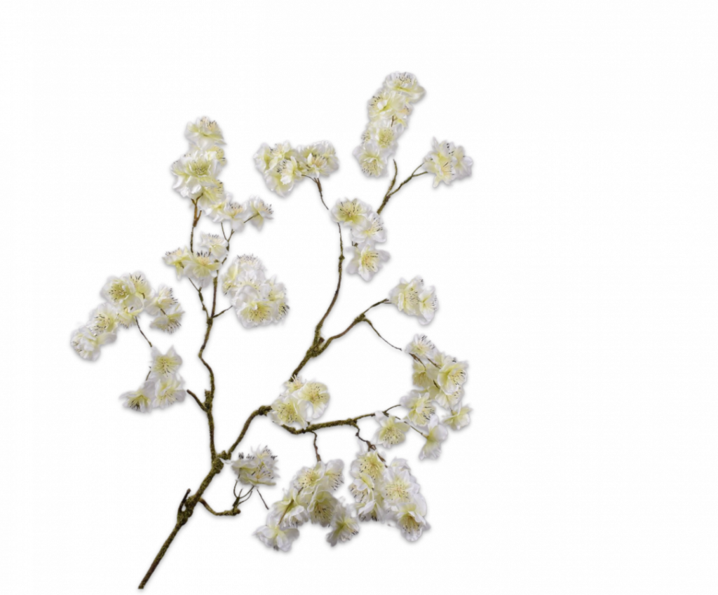 De Bloementuin Meppel