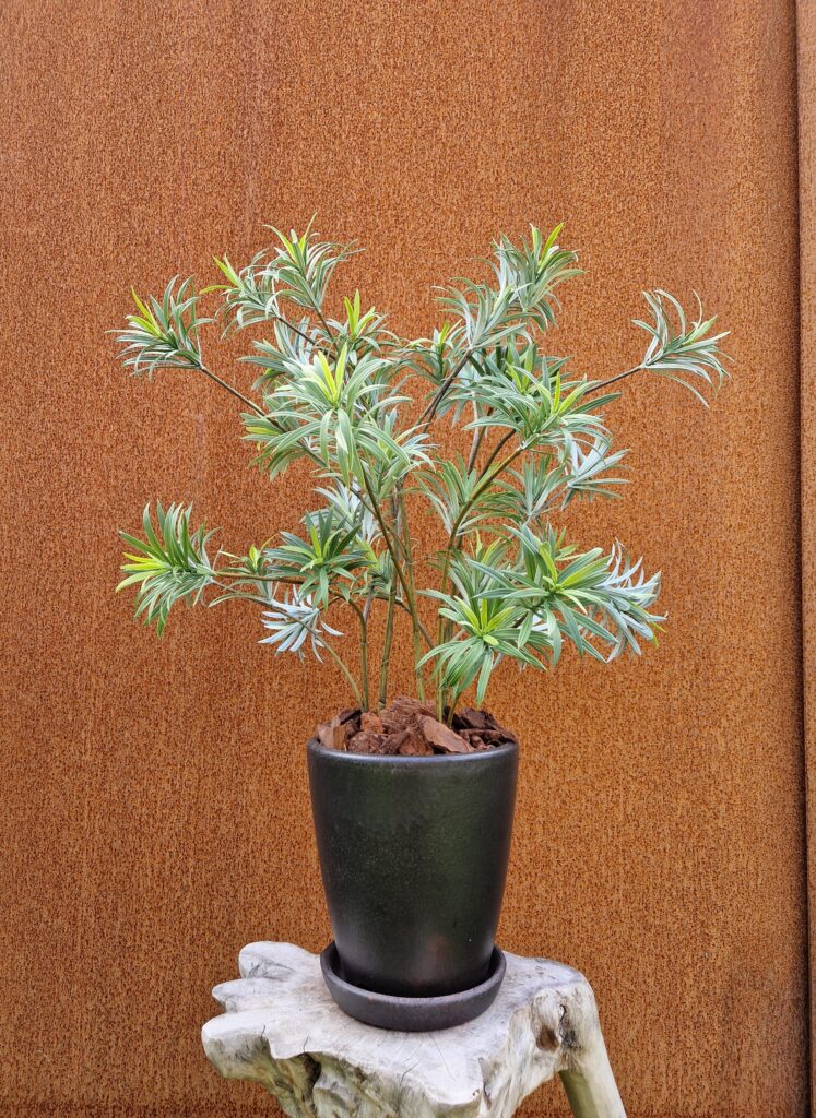 De Bloementuin Meppel