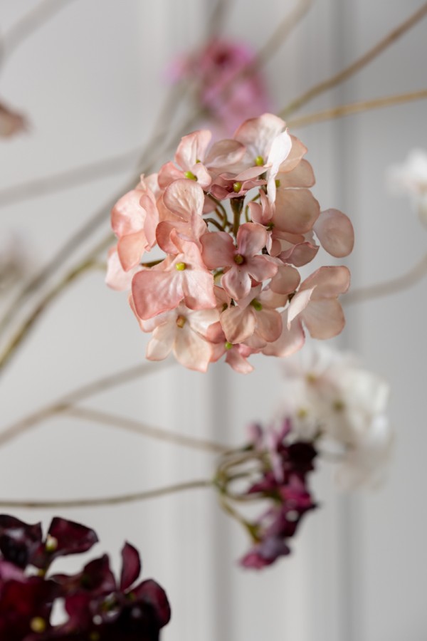 De Bloementuin Meppel