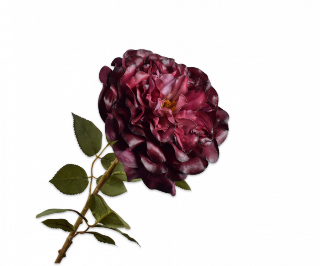 De Bloementuin Meppel