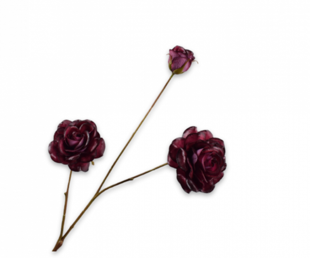 De Bloementuin Meppel