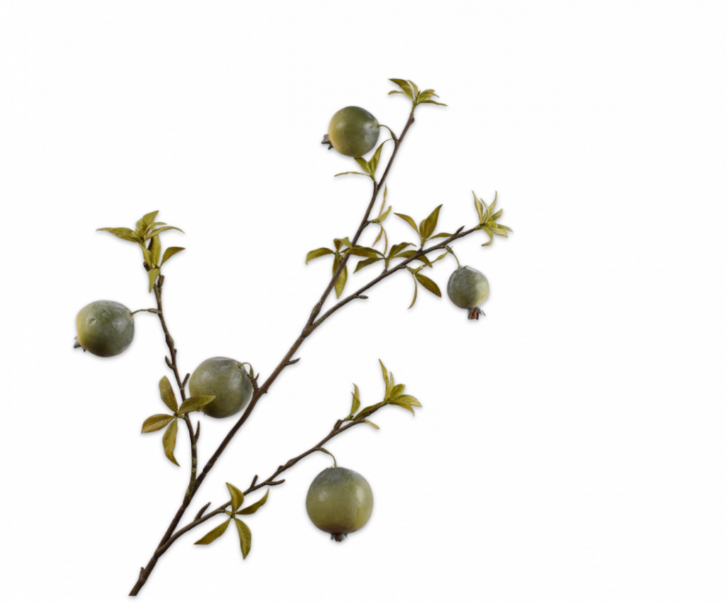 De Bloementuin Meppel