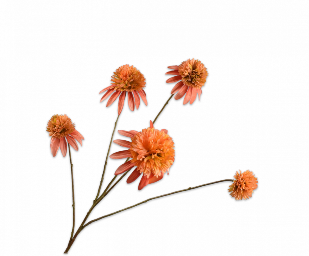 De Bloementuin Meppel