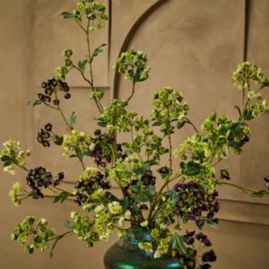 Alternative view of Helleborus tak bordeaux