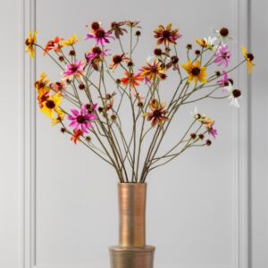 Alternative view of Rudbeckia tak cr/bruin