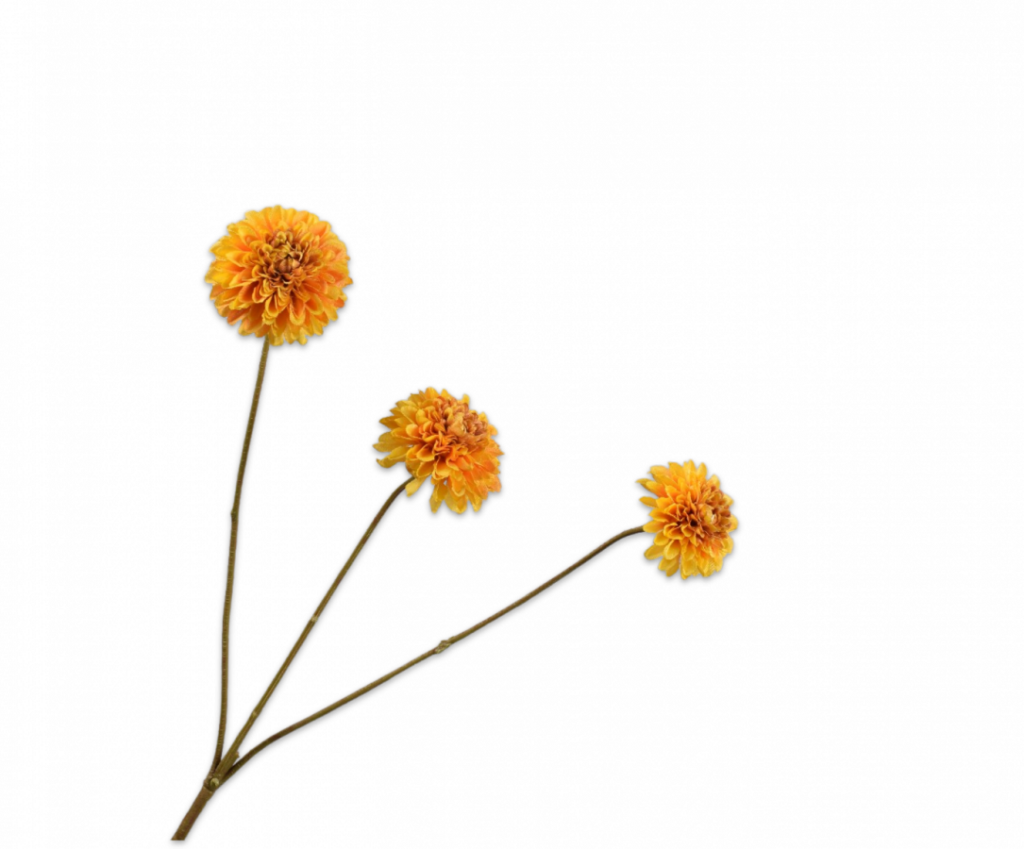 De Bloementuin Meppel