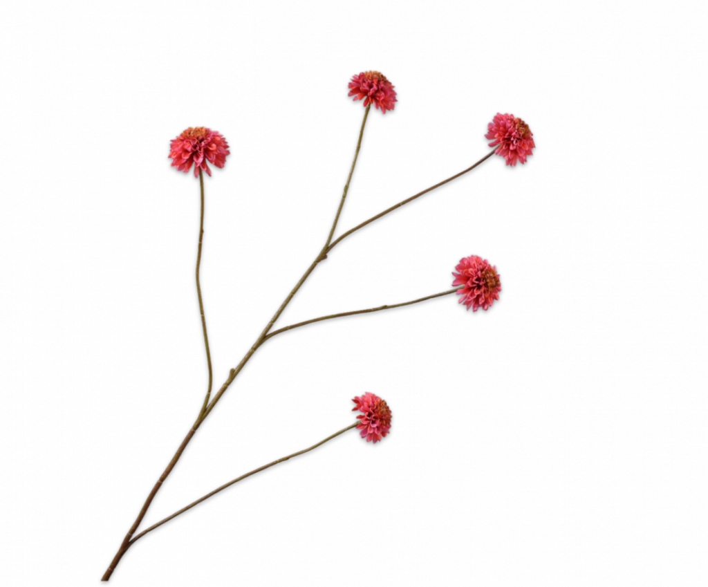 De Bloementuin Meppel