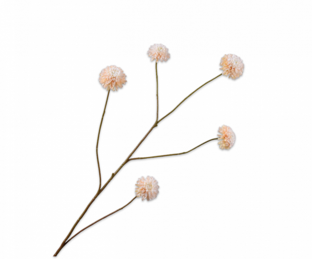 De Bloementuin Meppel