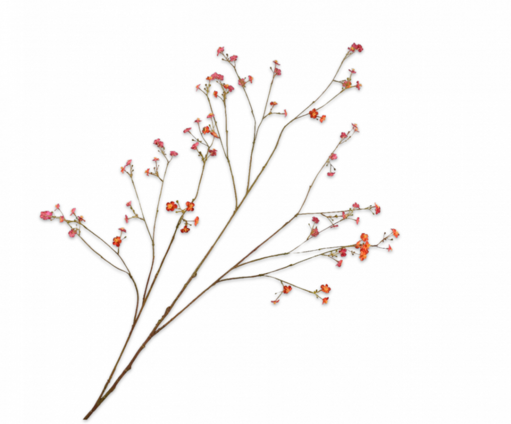 De Bloementuin Meppel