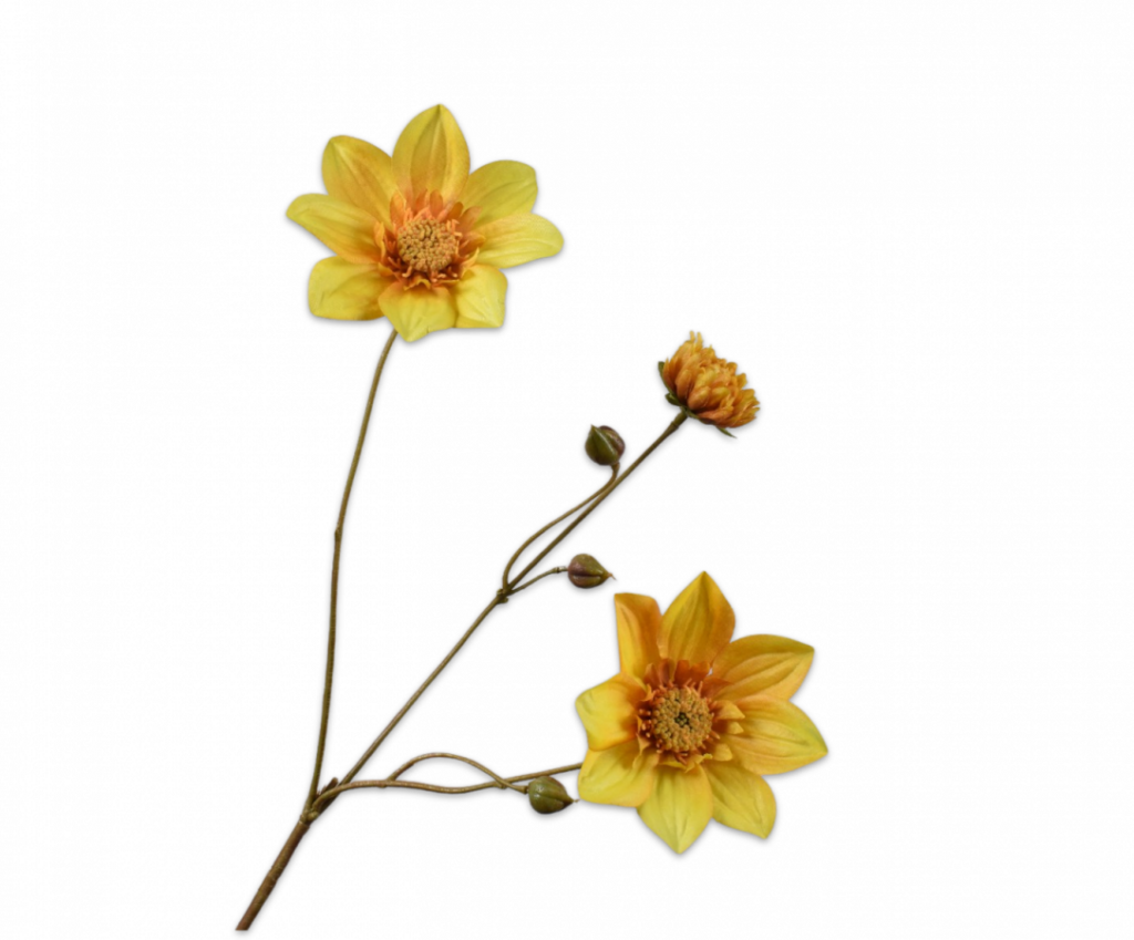 De Bloementuin Meppel