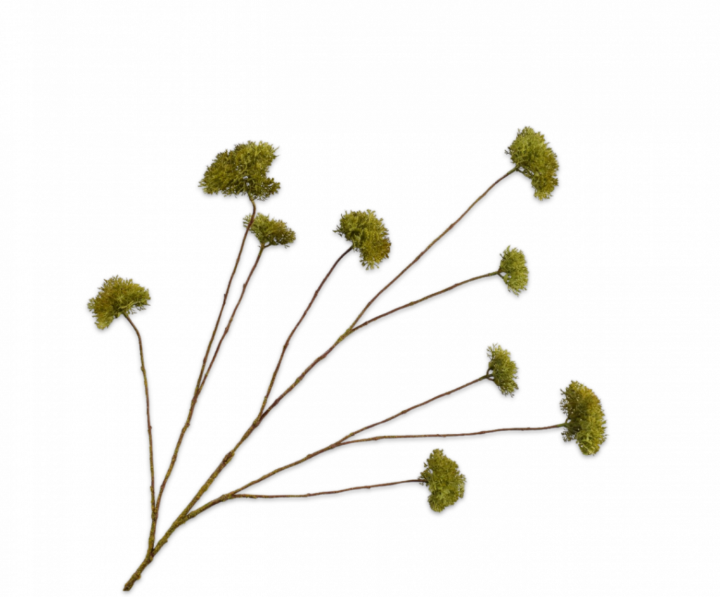 De Bloementuin Meppel