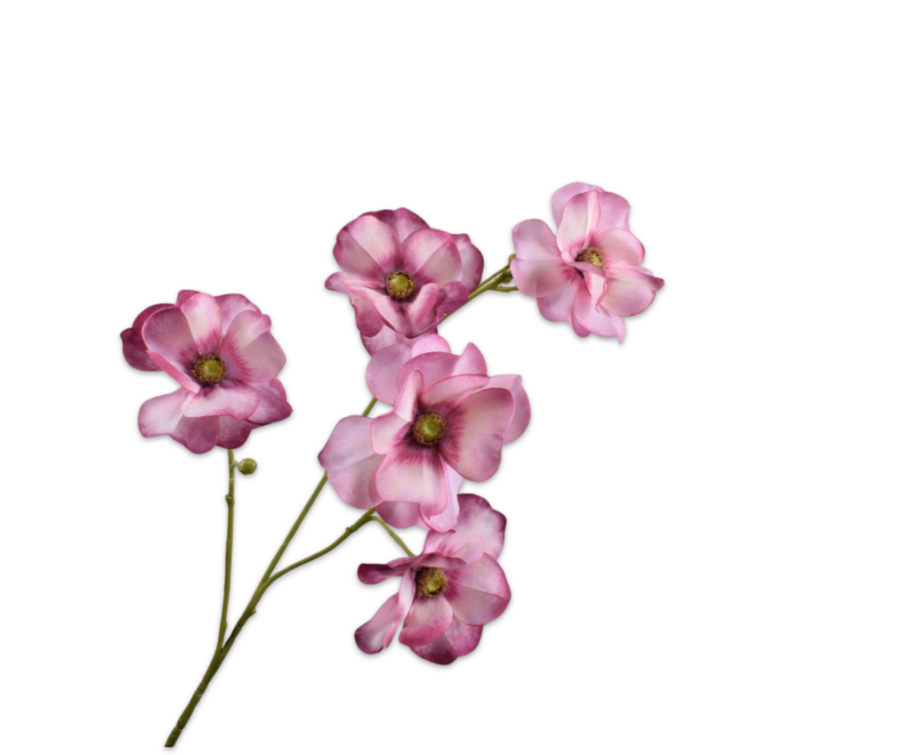 De Bloementuin Meppel