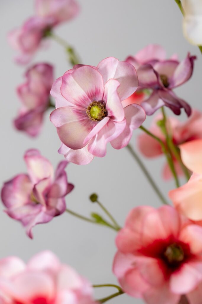 De Bloementuin Meppel