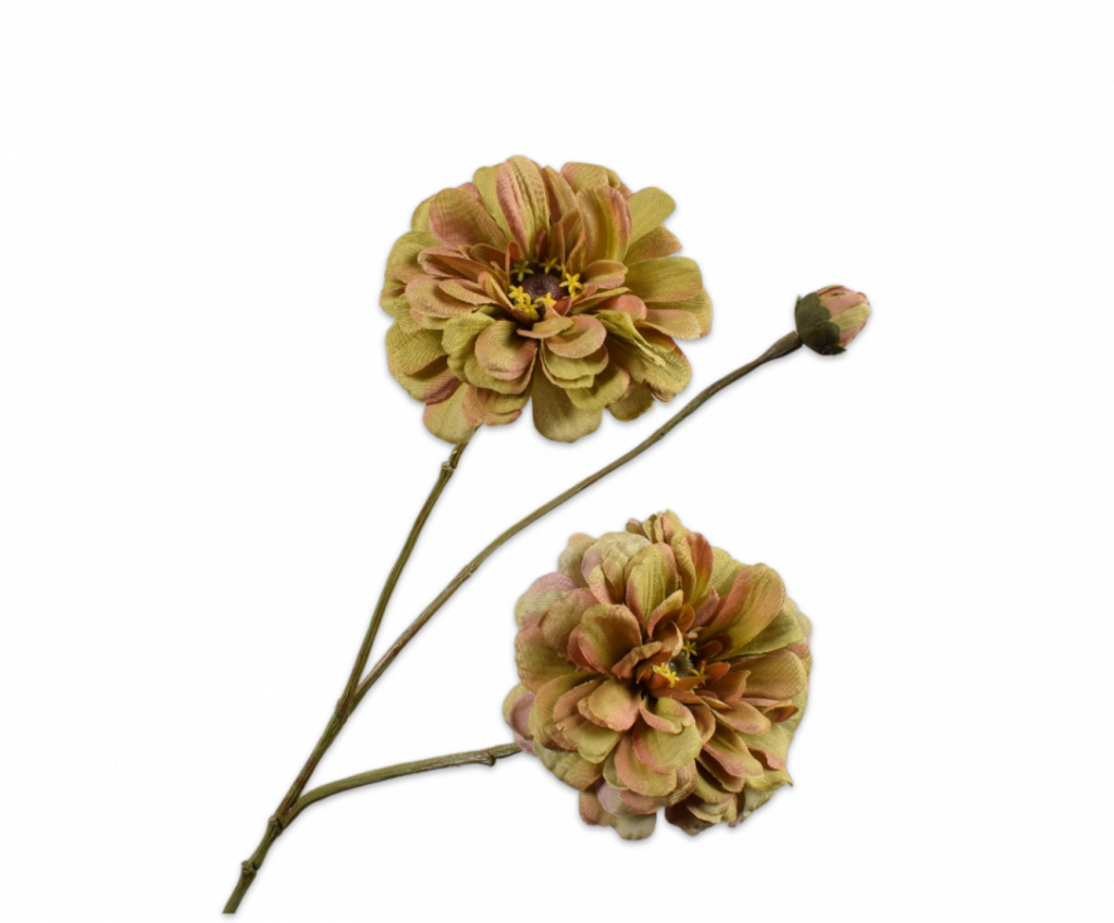 De Bloementuin Meppel