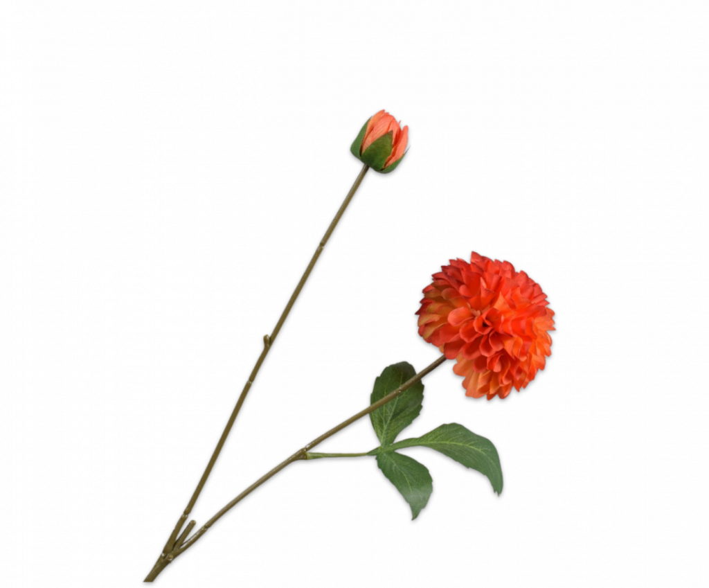 De Bloementuin Meppel