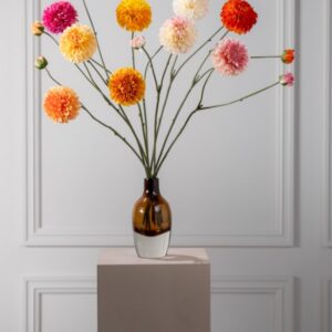 Alternative view of Dahlia tak rood/oranje
