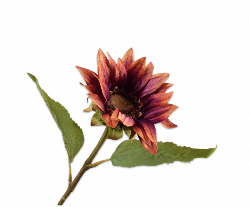 De Bloementuin Meppel