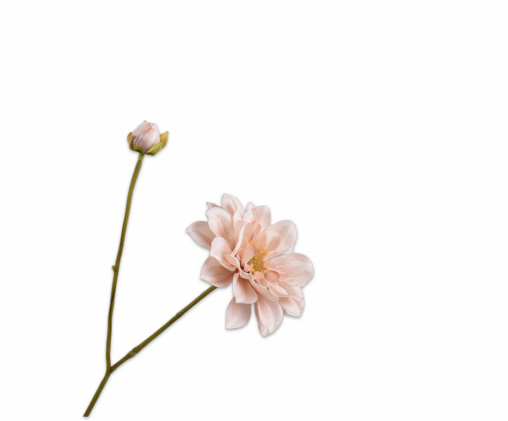 De Bloementuin Meppel