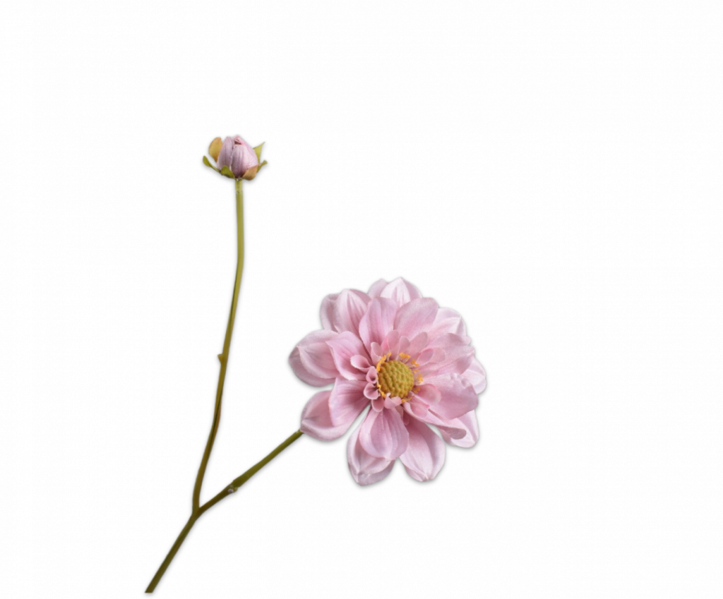 De Bloementuin Meppel