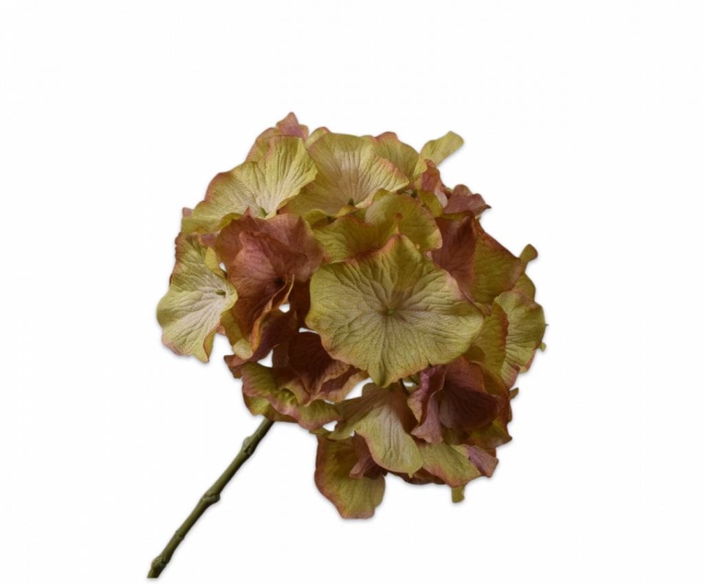 De Bloementuin Meppel