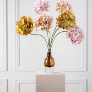 Alternative view of Hortensia tak groen/ roze