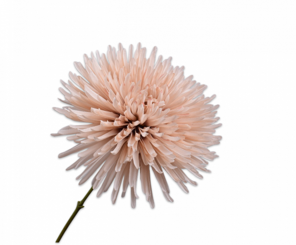 De Bloementuin Meppel