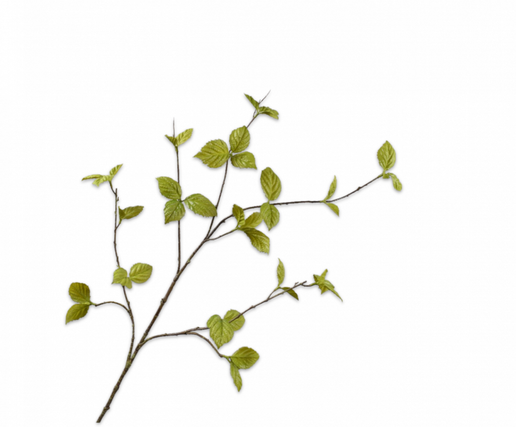 De Bloementuin Meppel