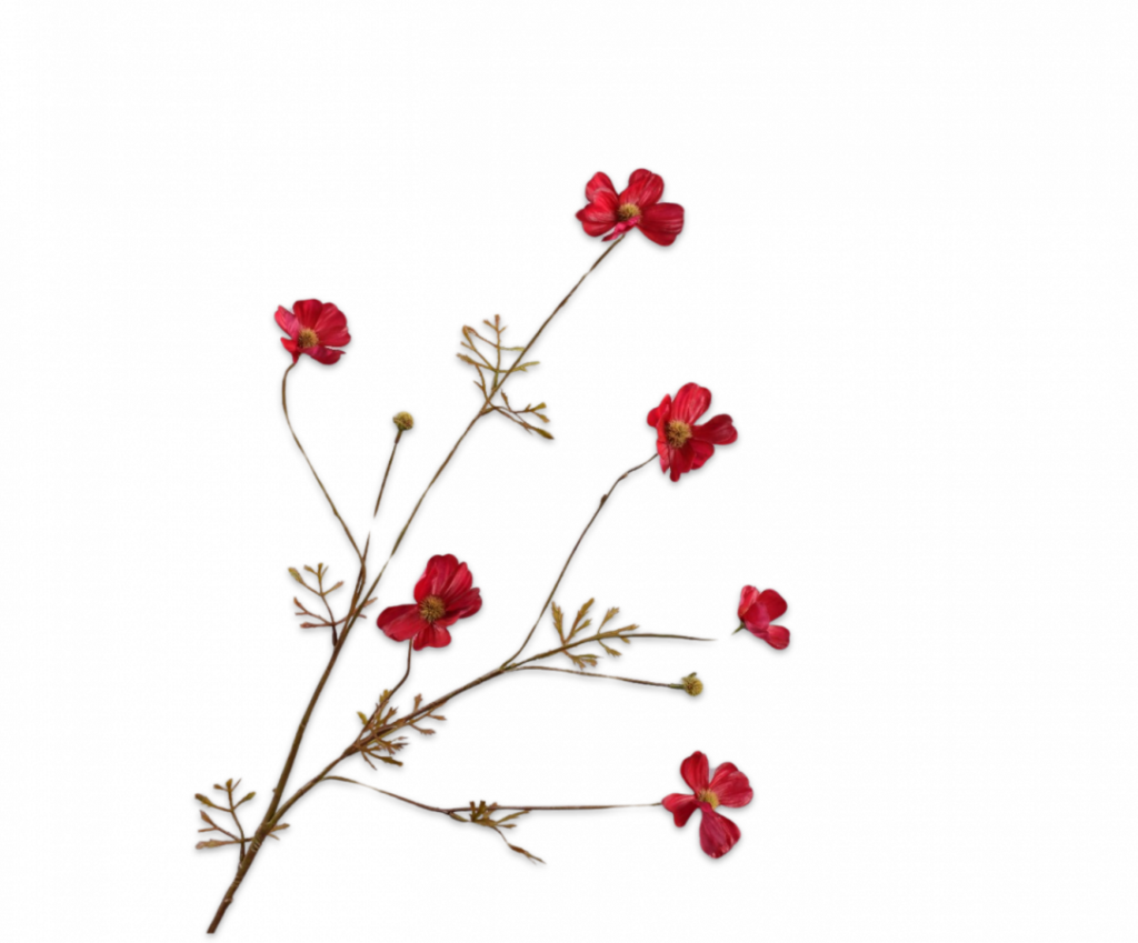 De Bloementuin Meppel