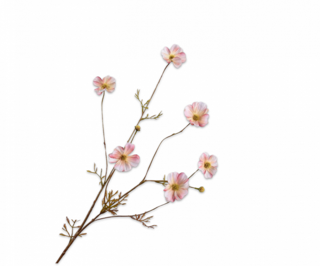 De Bloementuin Meppel