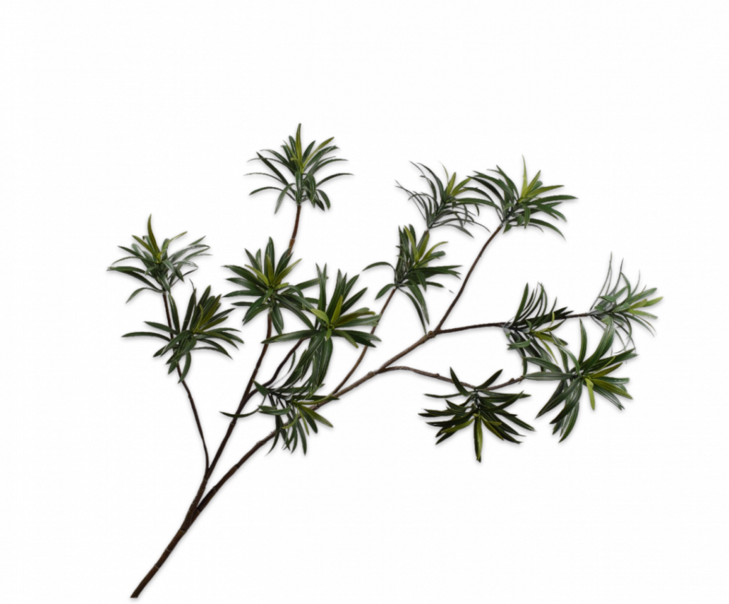 De Bloementuin Meppel