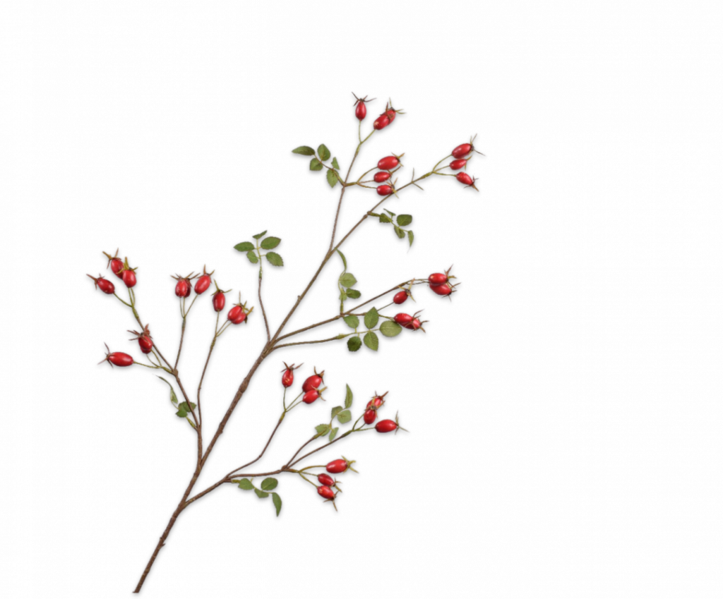 De Bloementuin Meppel