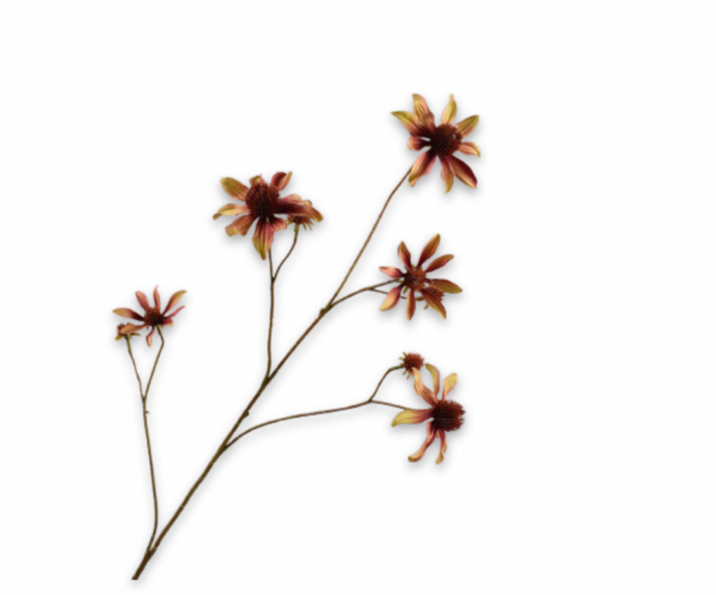 De Bloementuin Meppel