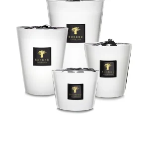 Alternative view of Baobab Les Presgtigieuses Pierre De Lune Max 24