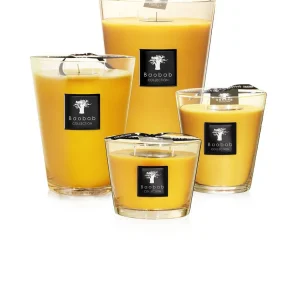 Alternative view of Baobab All Seasons Zanzibar Spices Max 16