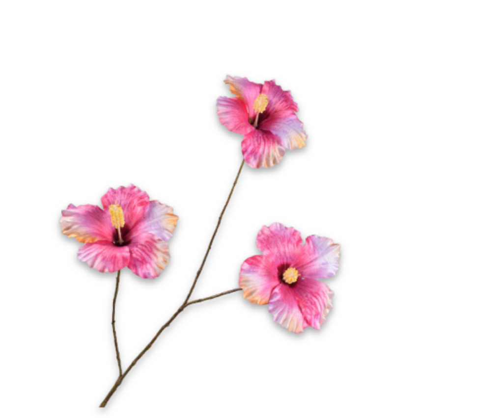 De Bloementuin Meppel