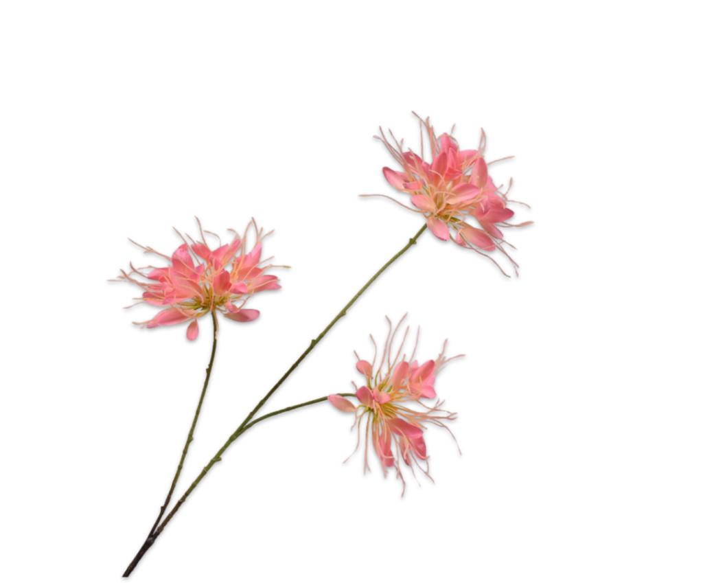 De Bloementuin Meppel