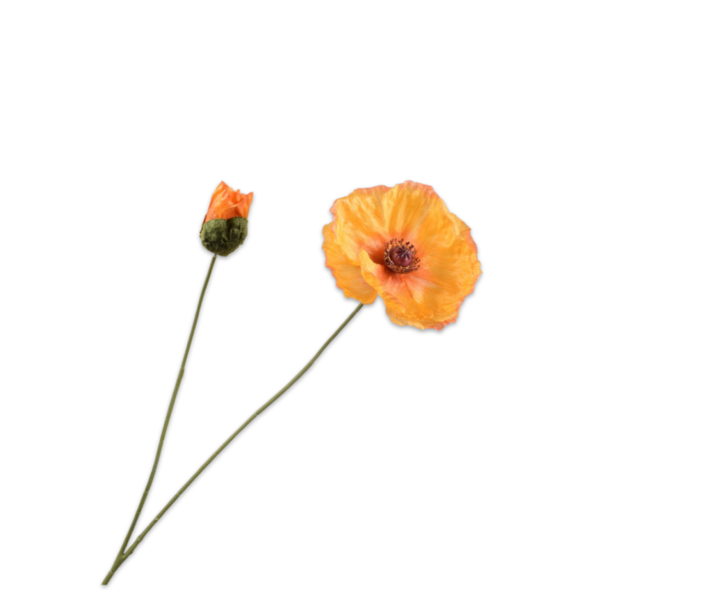 De Bloementuin Meppel