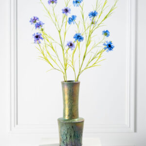 Alternative view of Korenbloem tak blauw